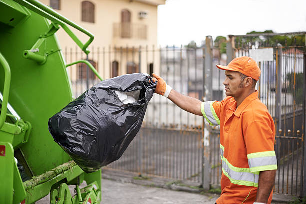 Best Green Junk Removal in La Marque, TX